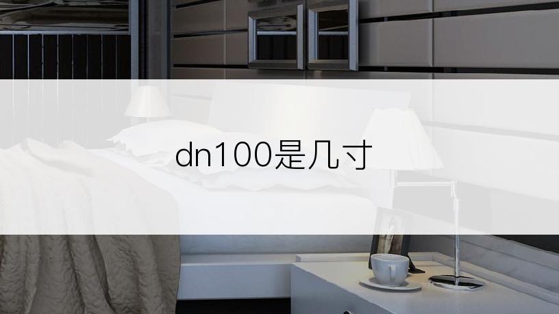 dn100是几寸