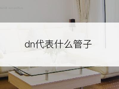 dn代表什么管子