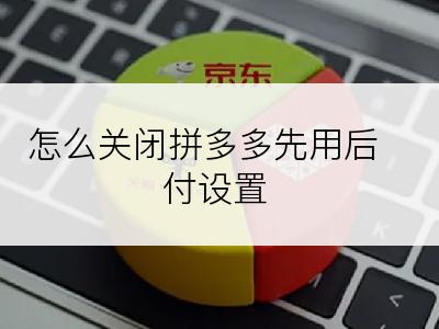 怎么关闭拼多多先用后付设置