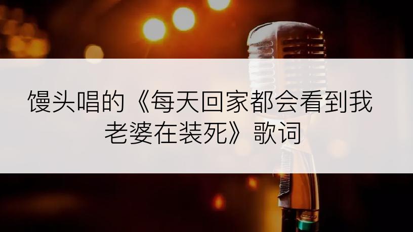 馒头唱的《每天回家都会看到我老婆在装死》歌词