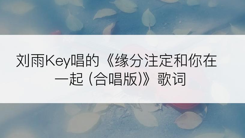 刘雨Key唱的《缘分注定和你在一起 (合唱版)》歌词