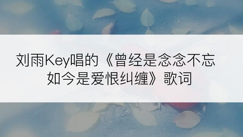 刘雨Key唱的《曾经是念念不忘如今是爱恨纠缠》歌词