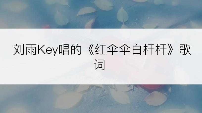 刘雨Key唱的《红伞伞白杆杆》歌词