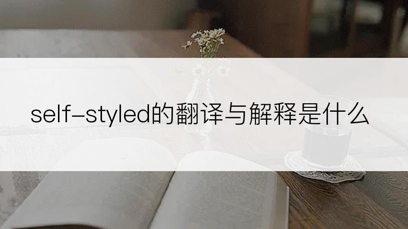 self-styled的翻译与解释是什么