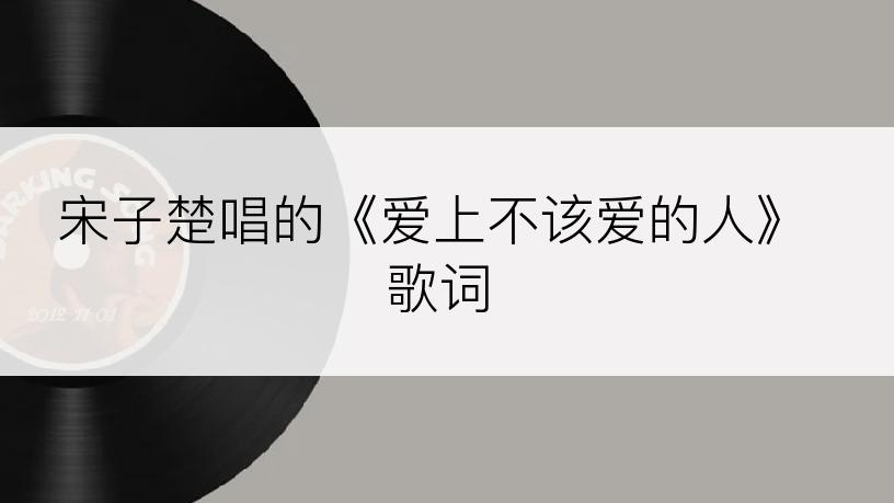 宋子楚唱的《爱上不该爱的人》歌词