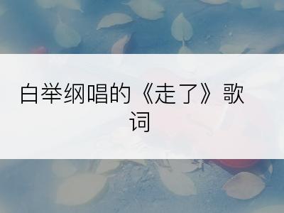 白举纲唱的《走了》歌词