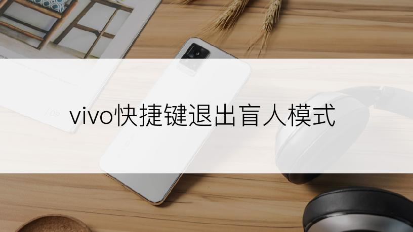 vivo快捷键退出盲人模式