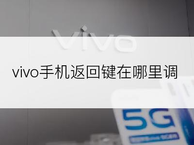 vivo手机返回键在哪里调