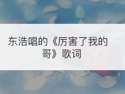 东浩唱的《厉害了我的哥》歌词