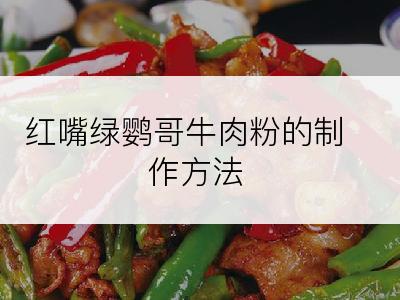 红嘴绿鹦哥牛肉粉的制作方法