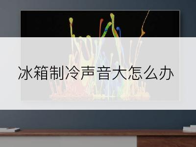 冰箱制冷声音大怎么办