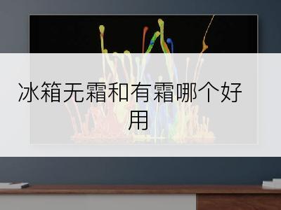 冰箱无霜和有霜哪个好用