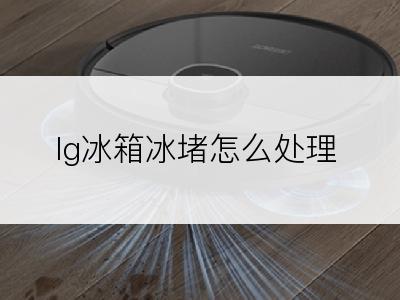 lg冰箱冰堵怎么处理