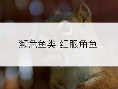 濒危鱼类 红眼角鱼