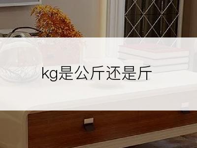 kg是公斤还是斤