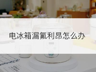 电冰箱漏氟利昂怎么办