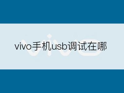 vivo手机usb调试在哪