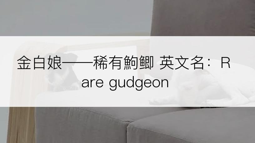 金白娘――稀有鮈鲫 英文名：Rare gudgeon