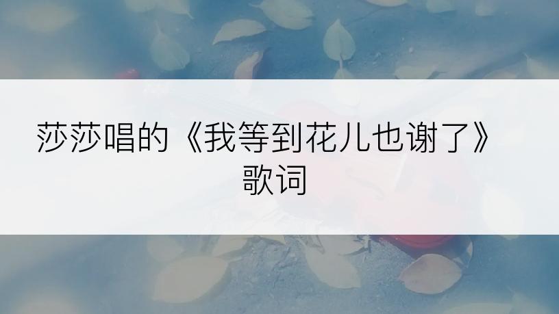 莎莎唱的《我等到花儿也谢了》歌词