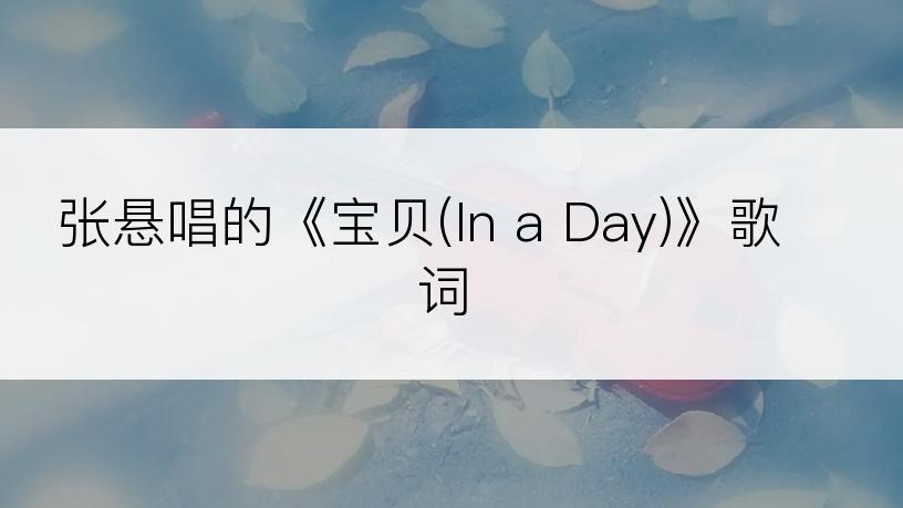 张悬唱的《宝贝(In a Day)》歌词