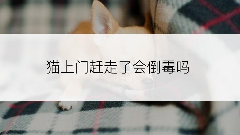 猫上门赶走了会倒霉吗