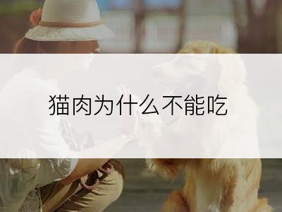 猫肉为什么不能吃