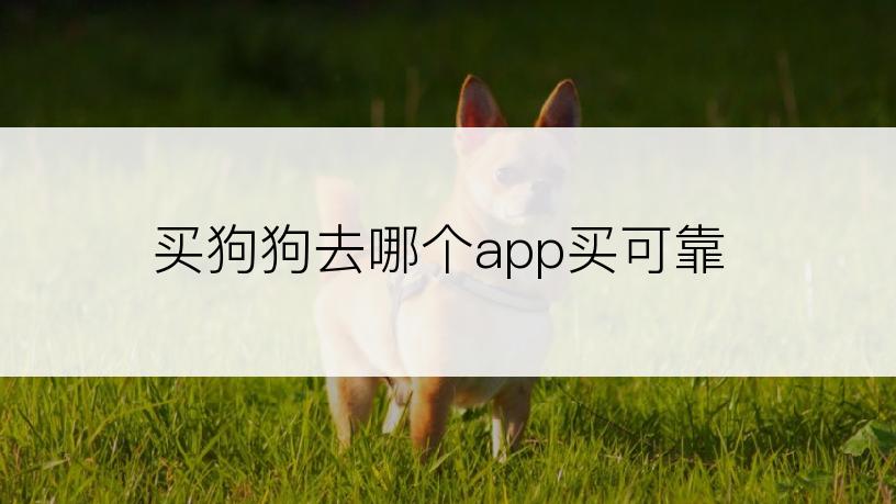 买狗狗去哪个app买可靠