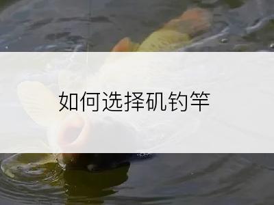 如何选择矶钓竿