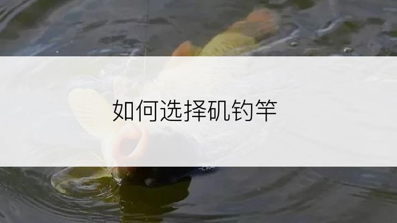 如何选择矶钓竿