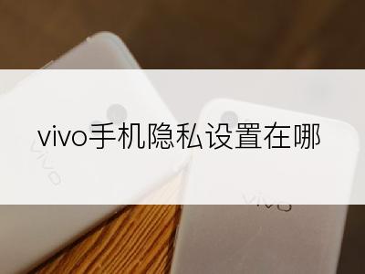 vivo手机隐私设置在哪