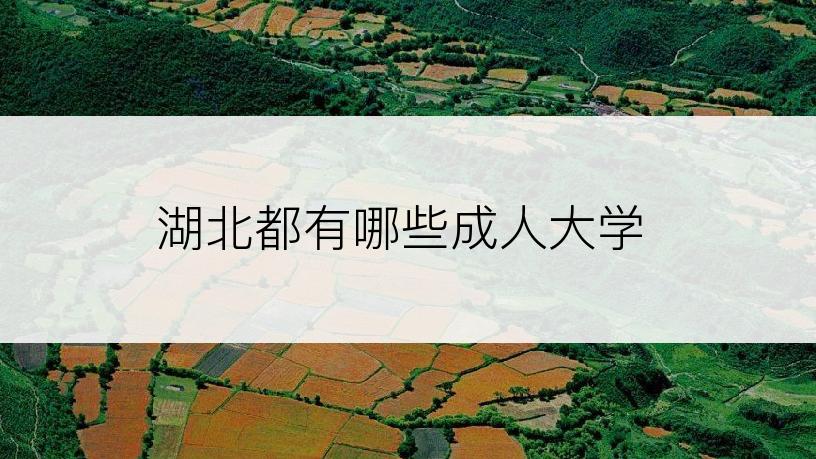 湖北都有哪些成人大学