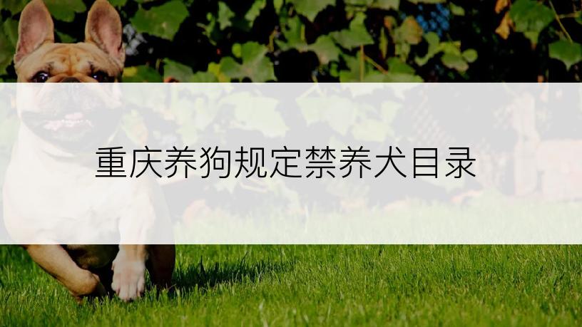 重庆养狗规定禁养犬目录