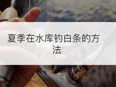 夏季在水库钓白条的方法