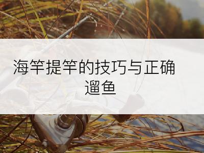 海竿提竿的技巧与正确遛鱼