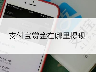 支付宝赏金在哪里提现