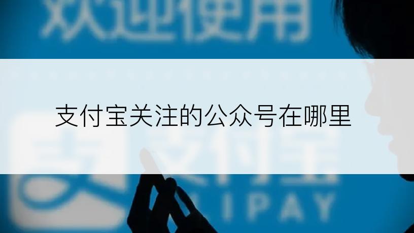 支付宝关注的公众号在哪里