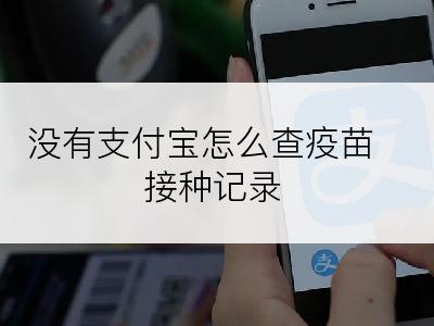 没有支付宝怎么查疫苗接种记录