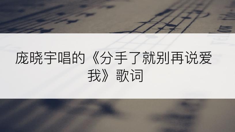 庞晓宇唱的《分手了就别再说爱我》歌词