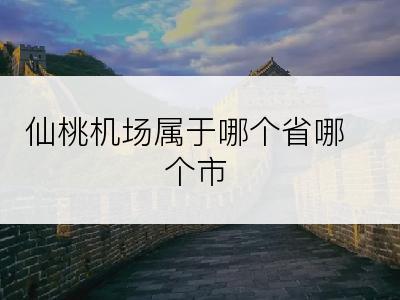 仙桃机场属于哪个省哪个市