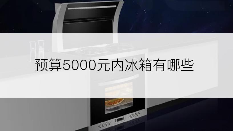 预算5000元内冰箱有哪些