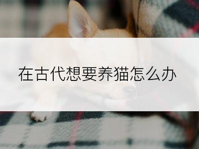 在古代想要养猫怎么办