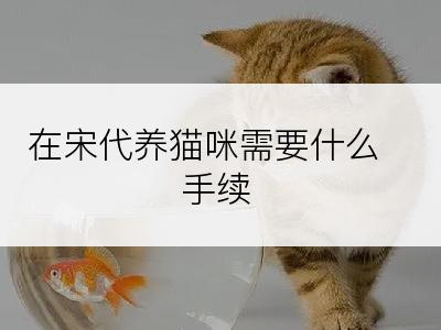 在宋代养猫咪需要什么手续