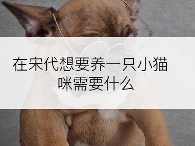 在宋代想要养一只小猫咪需要什么