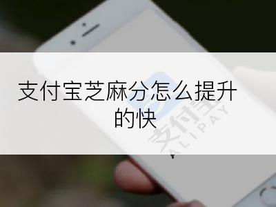 支付宝芝麻分怎么提升的快