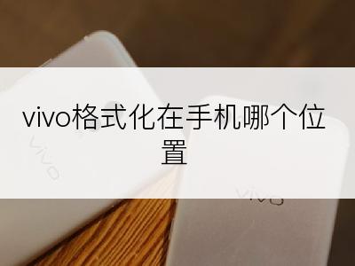 vivo格式化在手机哪个位置