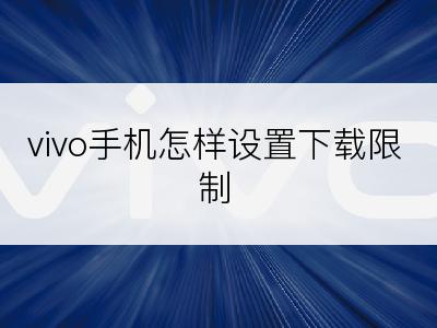 vivo手机怎样设置下载限制