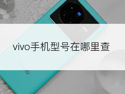 vivo手机型号在哪里查