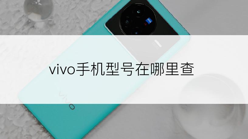 vivo手机型号在哪里查