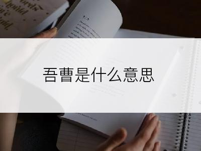 吾曹是什么意思