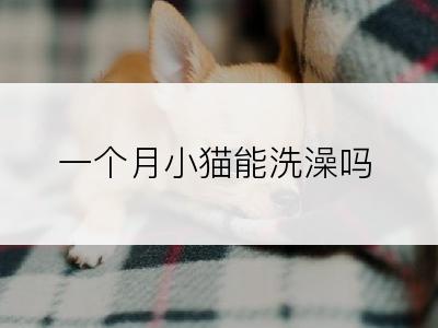 一个月小猫能洗澡吗